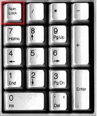post-15367-1187289478_thumb.gif