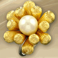 post-15367-1196062280_thumb.gif