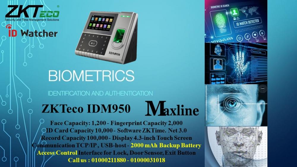 IDM950.jpg