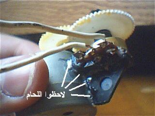 post-30728-1167859276_thumb.jpg